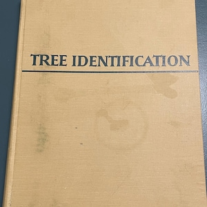 May include: Tan-colored book titled "TREE IDENTIFICATION" in black capital letters. The book has a simple, classic design with a horizontal black line under the title. The cover shows some wear and tear, with visible stains.