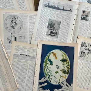 May include: A collection of vintage book pages with illustrations and text. One page features a clock diagram, another a fish illustration in an oval frame. The pages are aged with visible wear, suggesting a historical theme.