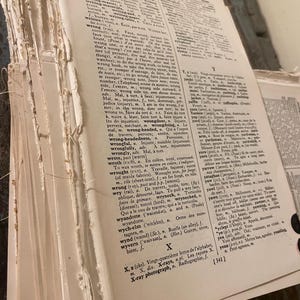40 French Dictionary Pages. Antique Book Pages. Antique Dictionary Paper. Paper for Scrapbooking, Journaling. Junk Journal. Old Book Paper.