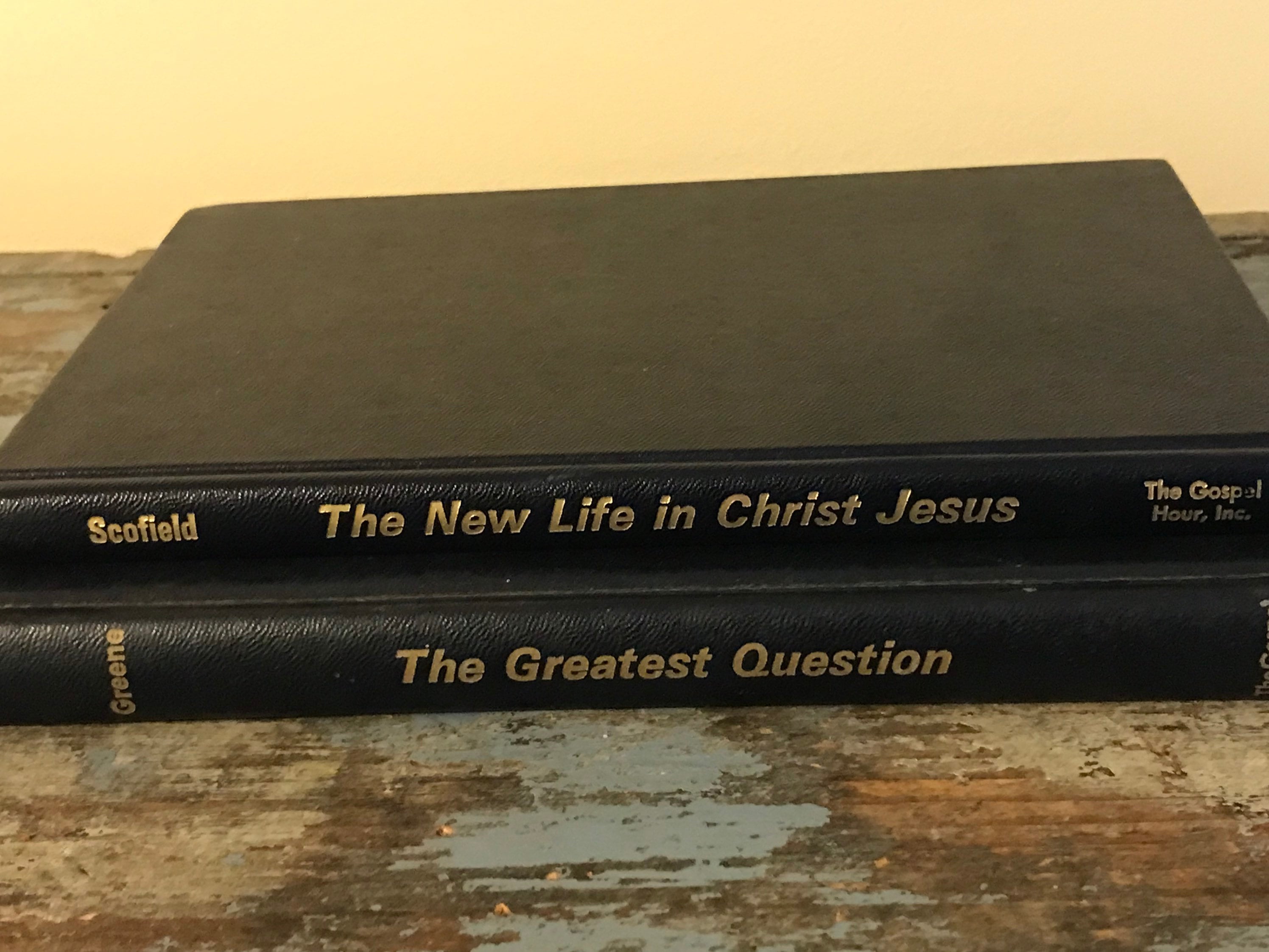 New Life In Christ Book