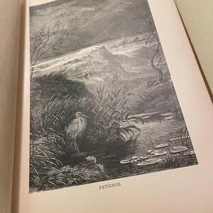 May include: A black and white illustration of a bird standing in tall grass near a pond with lily pads. The caption below the image reads "Patience."