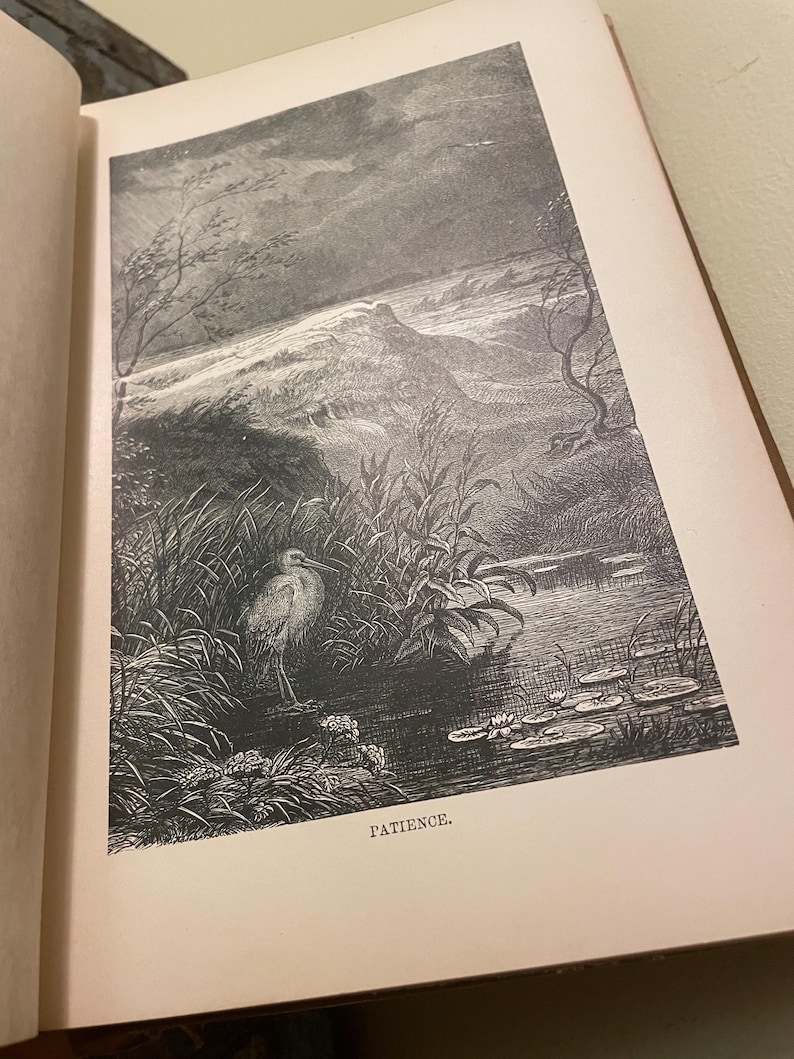 May include: A black and white illustration of a bird standing in tall grass near a pond with lily pads. The caption below the image reads "Patience."