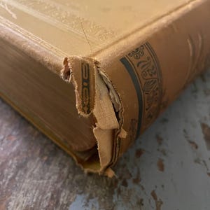 May include: Close-up of the worn, brown cover of a vintage book with gold detailing and a decorative border. The book is slightly damaged, with a torn corner and frayed edges.
