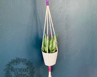 Simple Plant Hanger / macrame planter / color block / plant decor