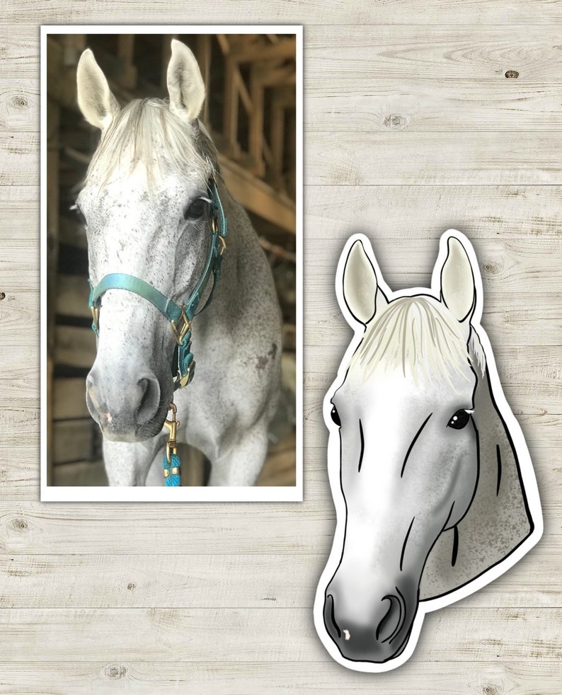 Custom Horse Stickers Custom Stickers of Your Own Horse 3 Etsy