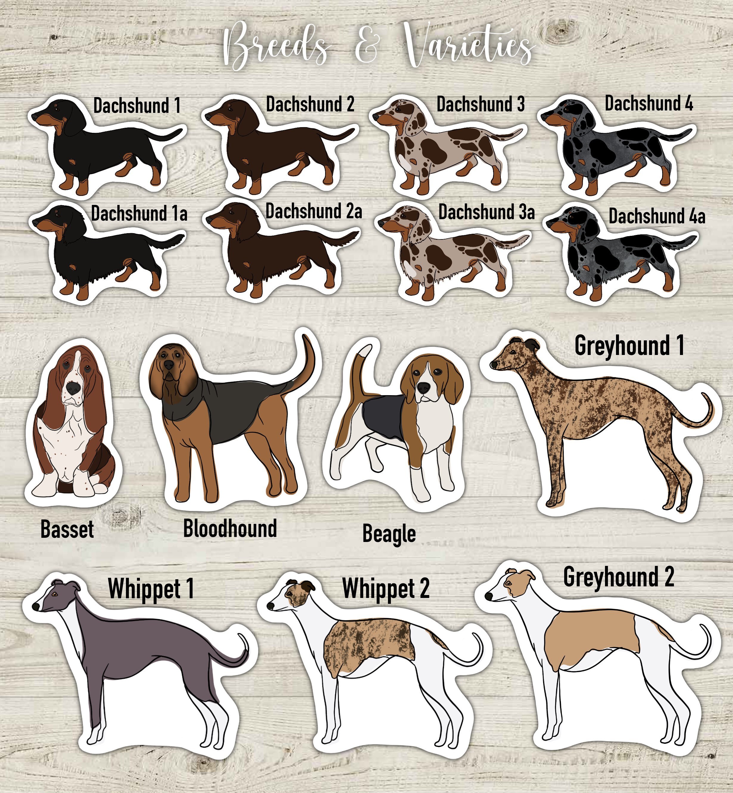 Discount different hound dogs Outlet Online Black Friday