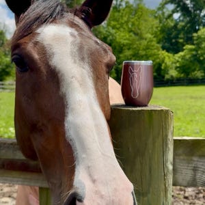 Custom Horse Line Art Wine Tumbler: Insulated Stemless 12oz