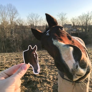 Custom Horse Stickers | 3 pack, 6 pack, or 10 pack | Fully Custom Stickers of Your Own Horse | 3 pack, 6 pack, or 10 pack