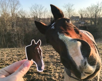 Custom Horse Stickers - 3 Pack - Personalized Equestrian Stickers