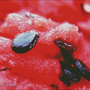 Padrão de ponto cruz de melancia: design de polpa de frutas vermelhas (PDF)
