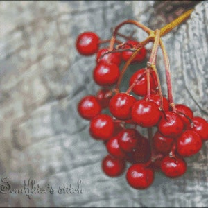 Padrão de ponto cruz Kalina Cranberry: Design de bordado floral (padrão em PDF)