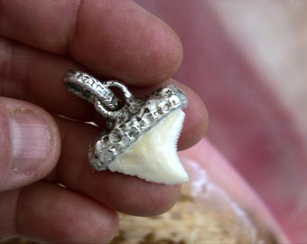 Bull  Shark Tooth Pendant Necklace Charm, fine silver .999 purity, handmade by OPV in Miami, FL