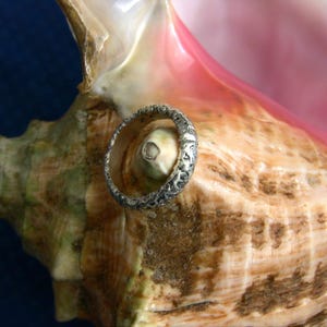 May include: A silver ring with an intricate pattern rests on a large seashell. The ring's design features detailed carvings, and the seashell displays a mix of brown, pink, and green hues. The background is a deep blue.