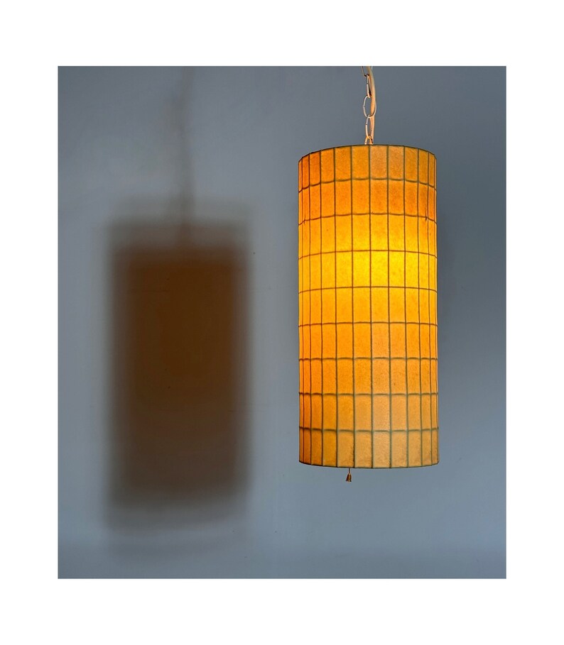 Rare Original Vintage George Nelson Cylinder Bubble Pendant Lamp Howard Miller Mid Century Modern 1950s image 1