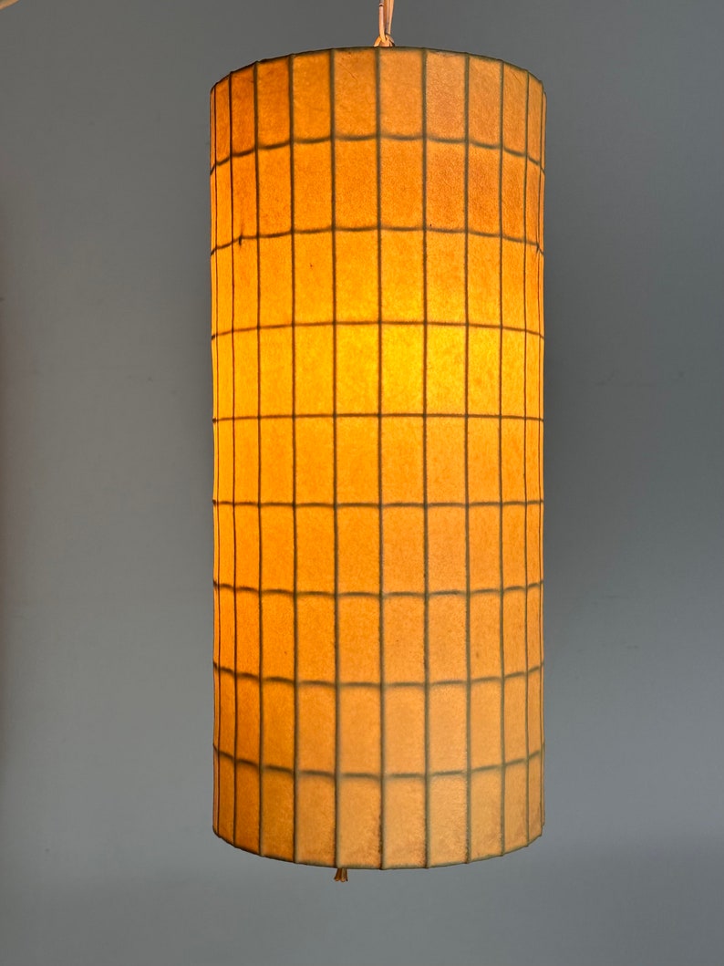 Rare Original Vintage George Nelson Cylinder Bubble Pendant Lamp Howard Miller Mid Century Modern 1950s image 2
