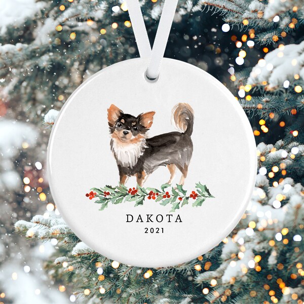 Long Hair Chihuahua Etsy