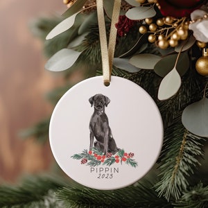 Black Labrador Retriever Ornament, Black Lab Retriever Christmas Gift, Dog Ornament, Custom Christmas Gift, Personalized Ornament