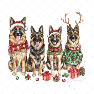 May include: Four German Shepherd dogs wearing Christmas attire. The dogs are wearing Santa hats, scarves, and sweaters. They are sitting in a row with presents in front of them.
