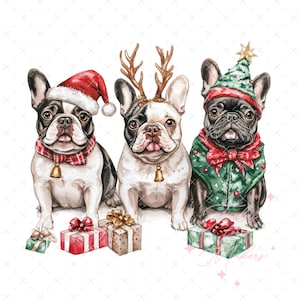 Französische Bulldogge Weihnachten Png Design, Aquarell Hund Png, Urlaub Frenchie Sublimation Design, Tshirt Grafik, digitaler Download