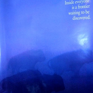 Tatonka.  1990 Dances With Wolves teaser movie poster ORIGINAL