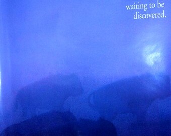 Tatonka.  1990 Dances With Wolves teaser movie poster ORIGINAL