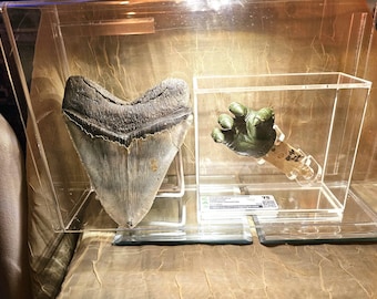 Cadeau ultime pour la fête des pères. vintage 1977 Mattel TOHO Shogun Godzilla Prototype Firing Fist, certifié CAS, avec dent de Magalodon de la taille d'un musée (6 pouces et plus)