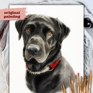 May include: Watercolour painting of a black Labrador Retriever wearing a red collar. The dog is looking directly at the viewer with a serious expression. The painting is on a white background.