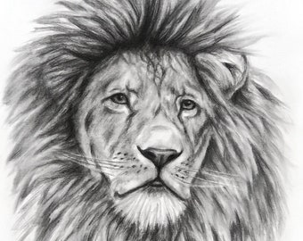 Charcoal drawing lion art painting Jannys ART