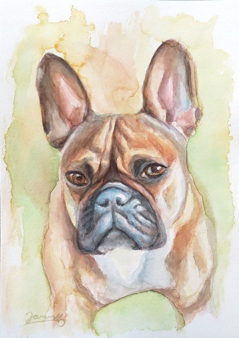 Hunde Bild Französische Bulldogge Aquarell Tier Portrait moderne Kunst Malerei Bild Jannys ART Bild 2