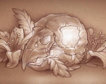Print - "Bird Skull with Flowers and Candle" 14x8in