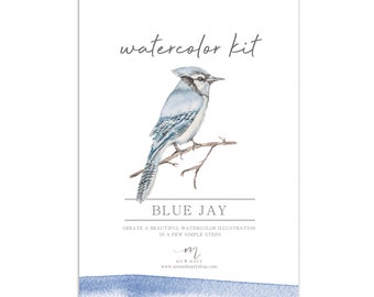 Watercolor DIY Kit - Blue Jay Bird