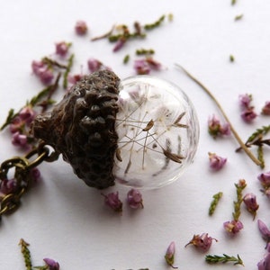 Dandelion wishes acorn necklace,real dandelion seeds,bronze,silver,real flower jewelry,inspirational gift,make a wish,woodland,botanical
