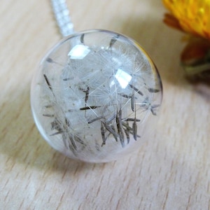 Dandelion Seed Glass Globe Necklace: Stainless Steel Chain
