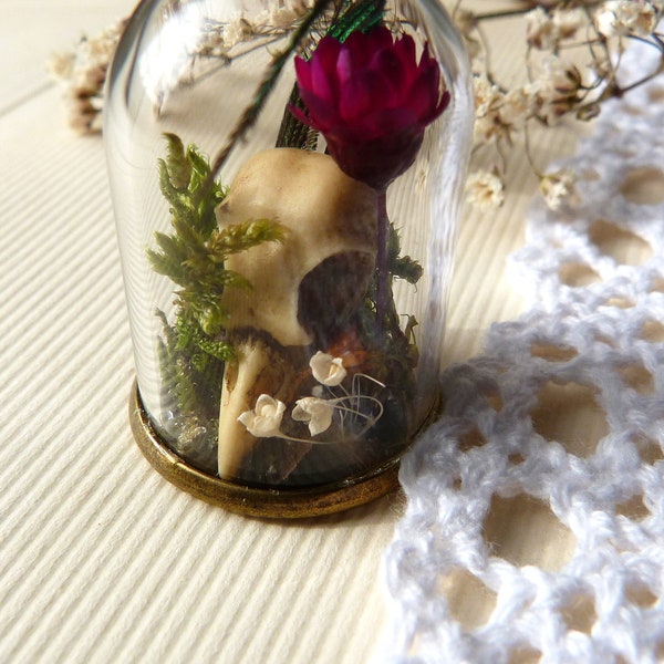 Collier tête de mort corbeau, collier en bronze, dôme en verre, marguerite, vraie mousse, jardin miniature, collier de jardin, fleurs délicates, bois, tête de mort en fimo, fleurs