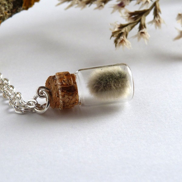 Pussy willow necklace/willow in a glass bottle/real flower jewelry/woodland willow necklace/dainty salix pendant/unisex nature jewelry gift