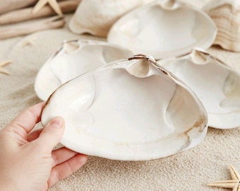Large Atlantic Clam Shells: Beach Decor, Crafting, Baking - Set of 4