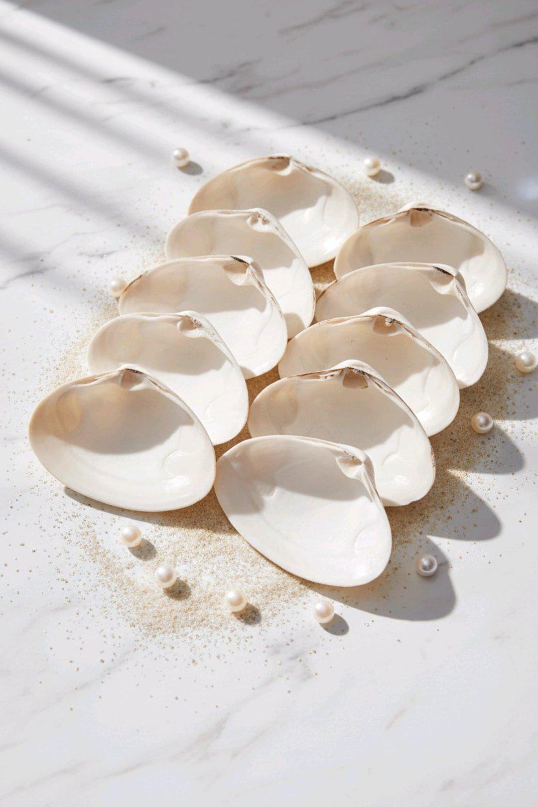Set of 10 Extra-large Atlantic Jumbo Clam Shells - Etsy