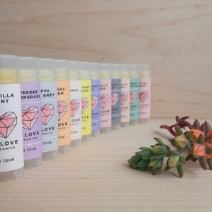 Organic Lip Balm Gift Set: Bulk Lip Love Pack