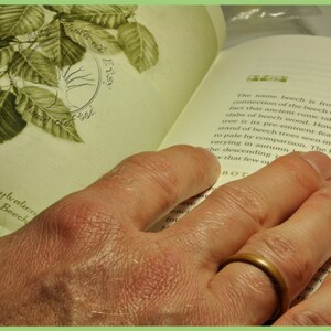 May include: A hand with a gold ring on the finger is pointing at a page in a book about the Green Beech tree. The page has a botanical illustration of the tree and the text "Fagus sylvatica Green Beech".