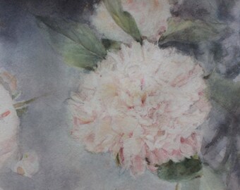 Claire De Lune Peony Etsy