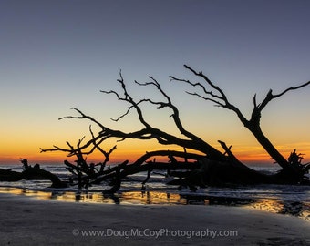 Boneyard Beach Sunrise, SC  #2414