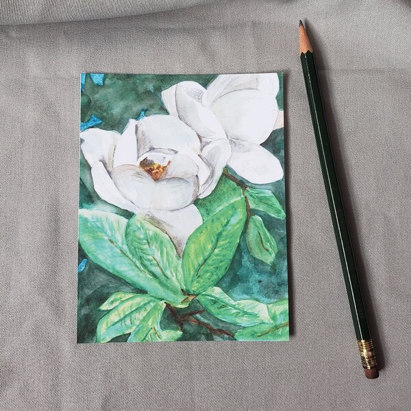 Louisiana Magnolia - State Flower Watercolor Painting Post Cards
