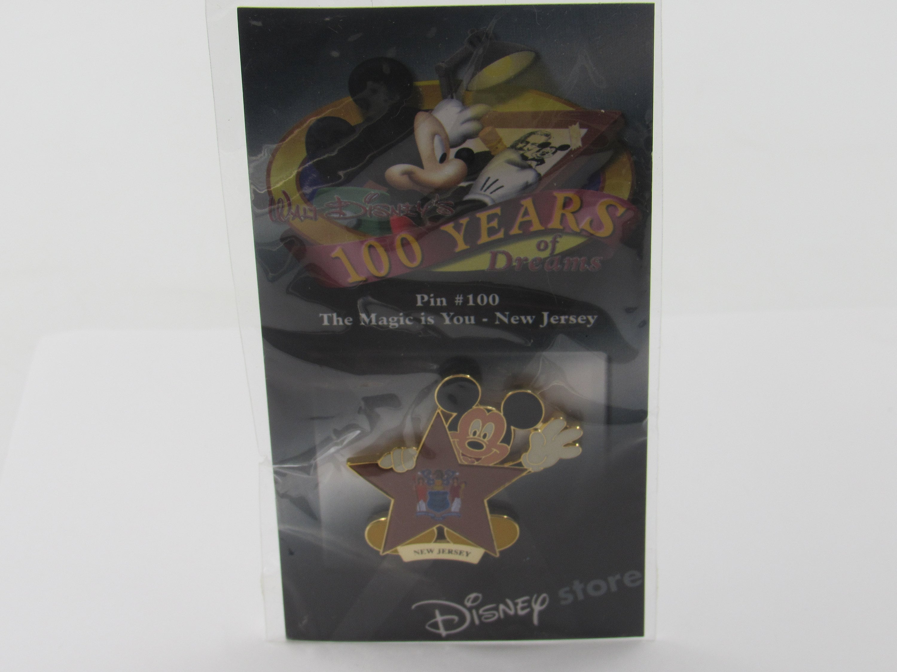 100 Years Dreams Pin - Etsy