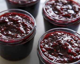 Wild Game Plum Marinade and Crockpot Sauce 8oz - TheSunshineJellyCo