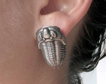 Trilobite Earrings - Invertebrate Paleontology, Trilobite Jewelry, Fossil, Paleontologist, Earth Science Jewelry
