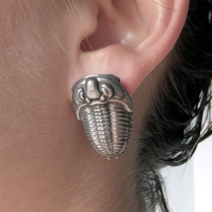 Trilobite Earrings - Invertebrate Paleontology, Trilobite Jewelry, Fossil, Paleontologist, Earth Science Jewelry