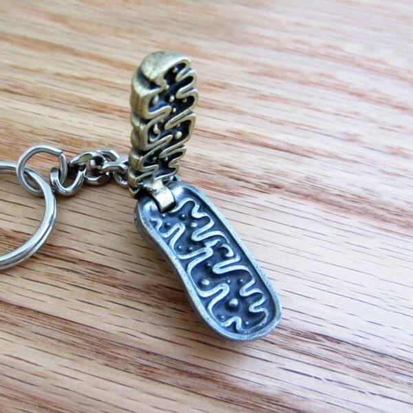 Mitochondrion Keychain - mitochondria keychain