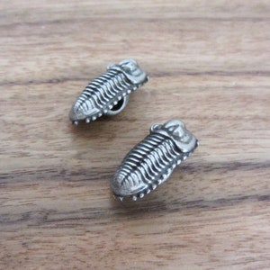 May include: Two silver-toned trilobite charms. The charms are detailed with segmented bodies and raised ridges.