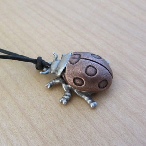 May include: A ladybug pendant necklace. The ladybug has a copper-colored shell with dark spots, a silver head, and silver legs. The necklace has a black cord.