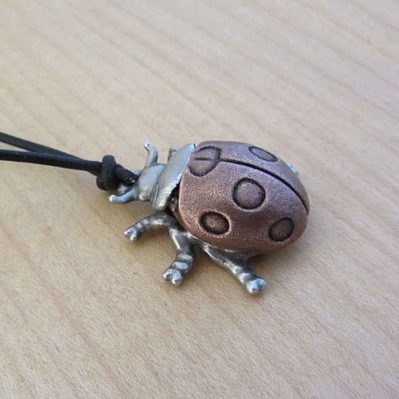 May include: A ladybug pendant necklace. The ladybug has a copper-colored shell with dark spots, a silver head, and silver legs. The necklace has a black cord.